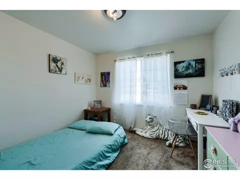 5696 Waverley Ave, Firestone, CO 80504 photo 25