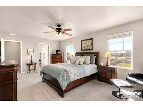 1536 Taplow Ct, Windsor, CO 80550 photo 16