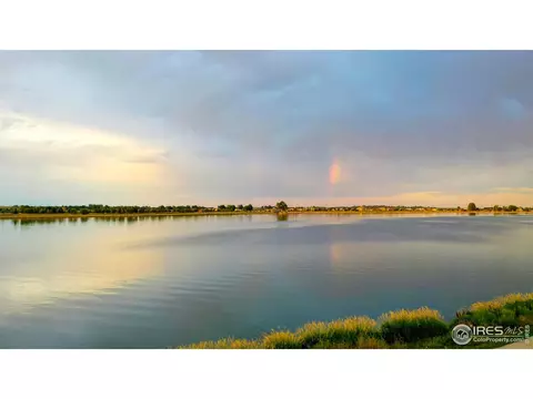 610 Cedar St #1, Windsor, CO 80550 photo 3