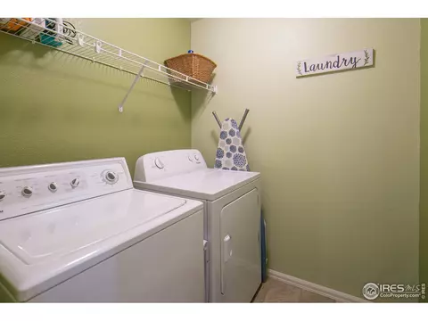 403 Prairie Clover Way, Severance, CO 80550 photo 17