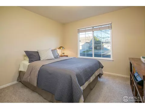 403 Prairie Clover Way, Severance, CO 80550 photo 13