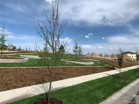 21305 E 59th Dr, Aurora, CO 80019 photo 3