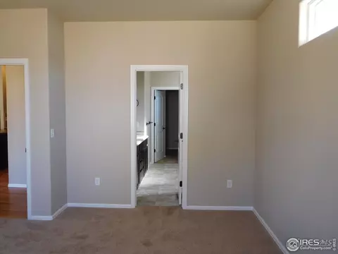 703 Mt Evans Ave, Severance, CO 80550 photo 8