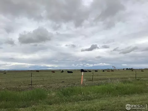 705 Carroll Ln, Pierce, CO 80650 photo 6