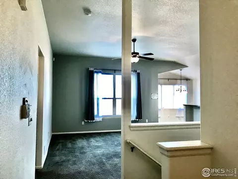 705 Carroll Ln, Pierce, CO 80650 photo 8