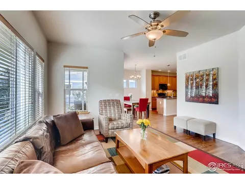 321 Mcconnell Dr, Lyons, CO 80540 photo 6