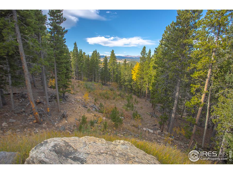  671 Muskrat Rd, Black Hawk, CO 80422 photo 3