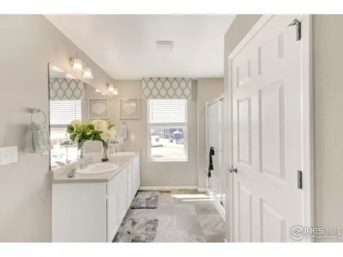 5353 Snowberry Ave, Longmont, CO 80504 photo 23