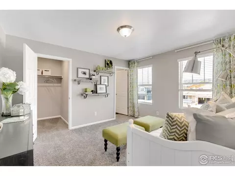 5353 Snowberry Ave, Longmont, CO 80504 photo 25
