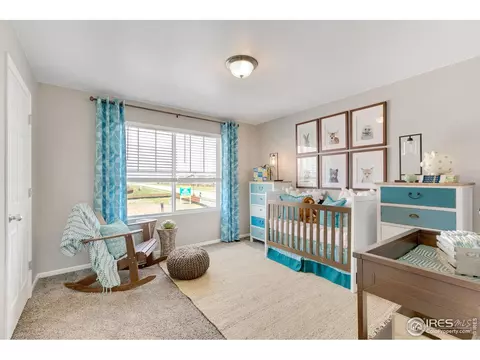 5353 Snowberry Ave, Longmont, CO 80504 photo 29