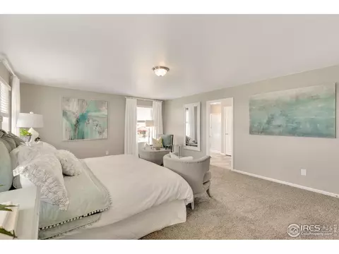 5353 Snowberry Ave, Longmont, CO 80504 photo 22