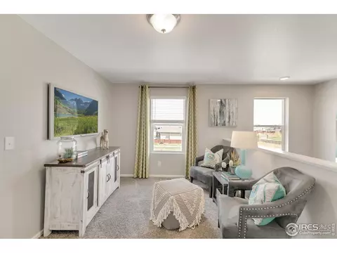5353 Snowberry Ave, Longmont, CO 80504 photo 19