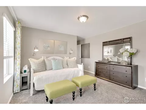 5353 Snowberry Ave, Longmont, CO 80504 photo 28
