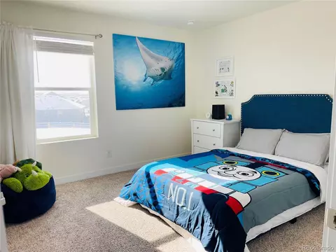 7604 E 158th Pl, Thornton, CO 80602 photo 14