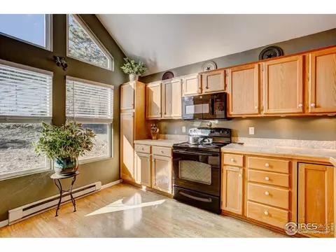 157 Crestone Way, Livermore, CO 80536 photo 6