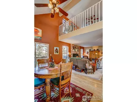157 Crestone Way, Livermore, CO 80536 photo 14