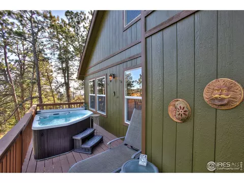 157 Crestone Way, Livermore, CO 80536 photo 21