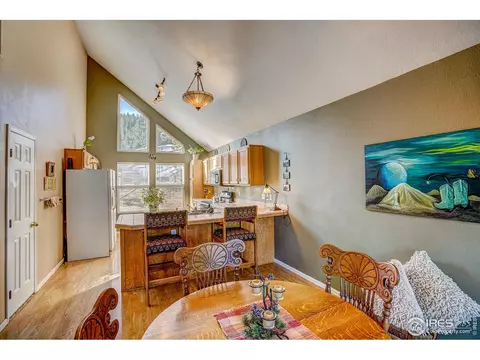 157 Crestone Way, Livermore, CO 80536 photo 13