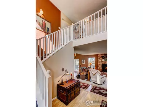 157 Crestone Way, Livermore, CO 80536 photo 24