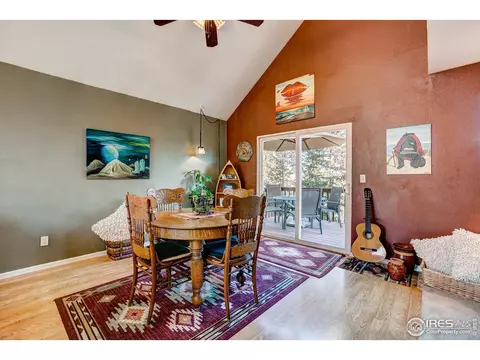 157 Crestone Way, Livermore, CO 80536 photo 12