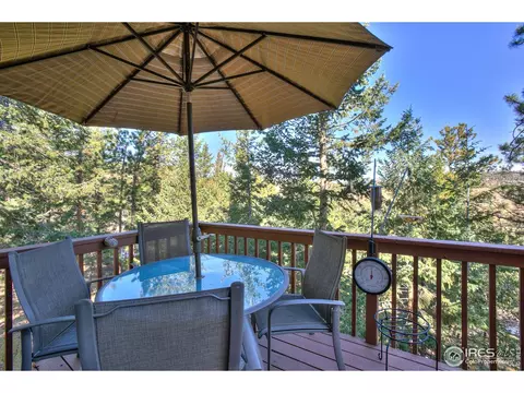 157 Crestone Way, Livermore, CO 80536 photo 18