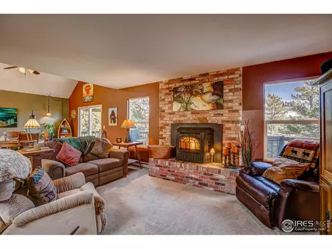 157 Crestone Way, Livermore, CO 80536 photo 5
