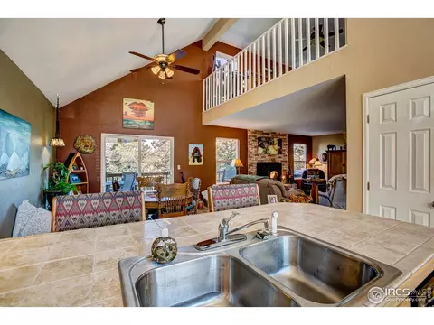 157 Crestone Way, Livermore, CO 80536 photo 10