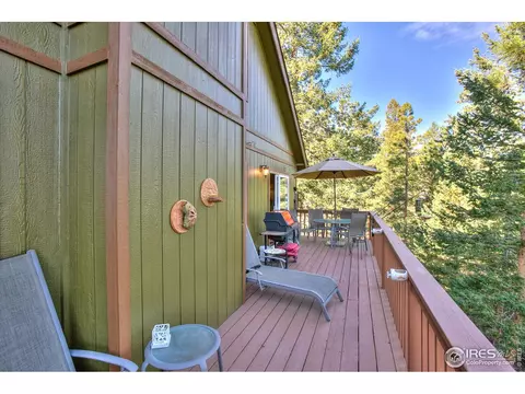 157 Crestone Way, Livermore, CO 80536 photo 23