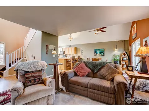 157 Crestone Way, Livermore, CO 80536 photo 16