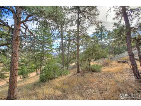 157 Crestone Way, Livermore, CO 80536 photo 37