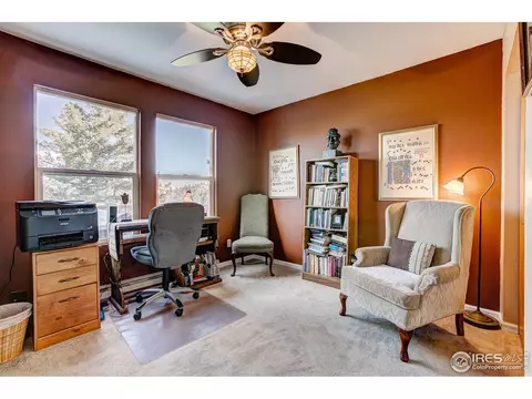 157 Crestone Way, Livermore, CO 80536 photo 30