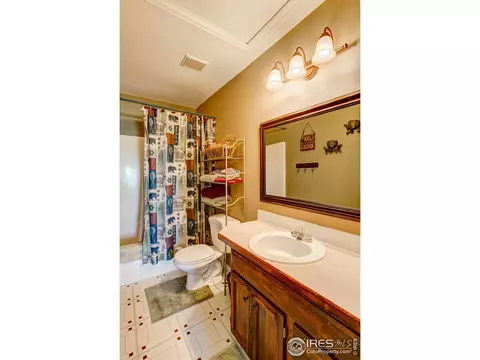 157 Crestone Way, Livermore, CO 80536 photo 27