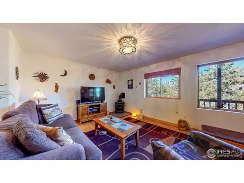 44 Lookout Dr, Lyons, CO 80540 photo 4