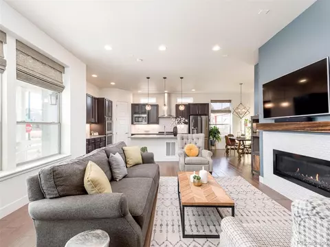 9101 E 59th North Pl, Denver, CO 80238 photo 8