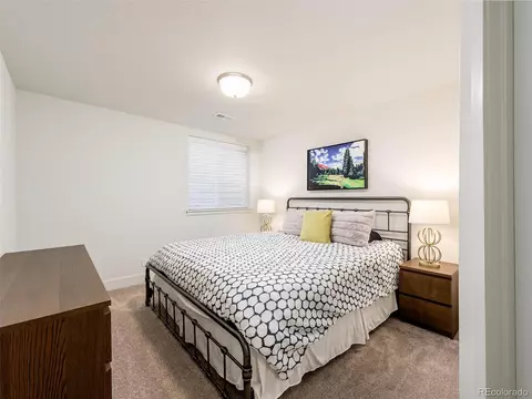 9101 E 59th North Pl, Denver, CO 80238 photo 33