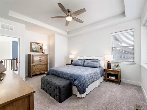 9101 E 59th North Pl, Denver, CO 80238 photo 23