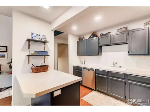 100 Crabapple Dr, Windsor, CO 80550 photo 12