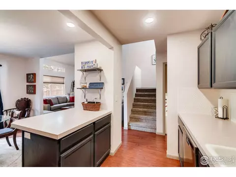 100 Crabapple Dr, Windsor, CO 80550 photo 8