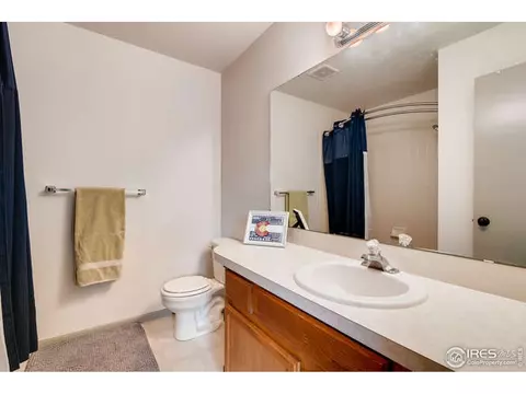 100 Crabapple Dr, Windsor, CO 80550 photo 16