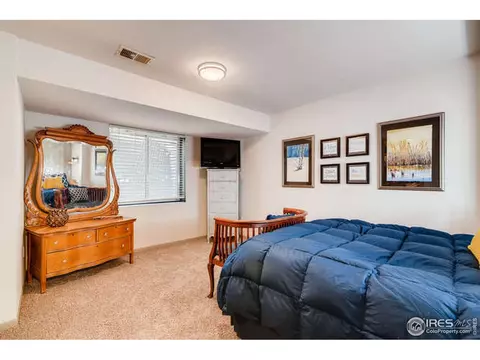 100 Crabapple Dr, Windsor, CO 80550 photo 17