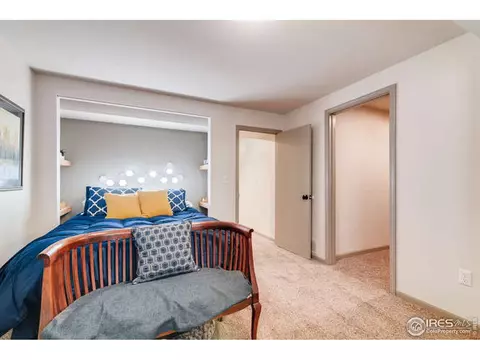 100 Crabapple Dr, Windsor, CO 80550 photo 19
