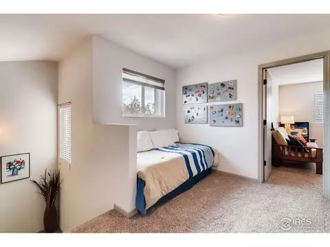 100 Crabapple Dr, Windsor, CO 80550 photo 14