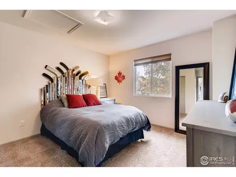 100 Crabapple Dr, Windsor, CO 80550 photo 13