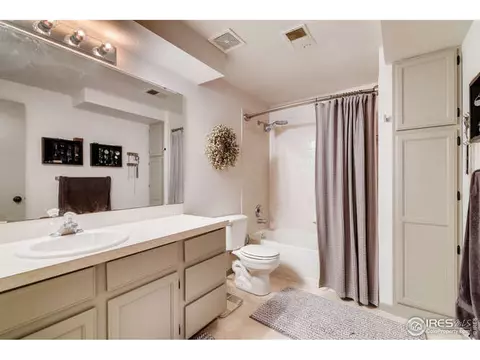 100 Crabapple Dr, Windsor, CO 80550 photo 20