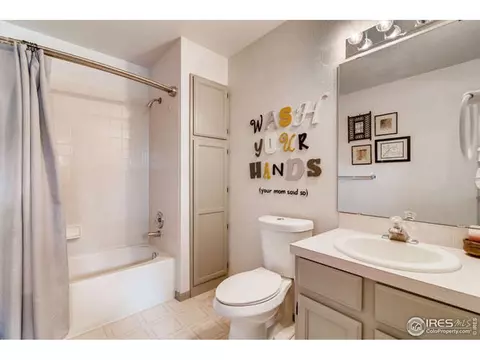 100 Crabapple Dr, Windsor, CO 80550 photo 10