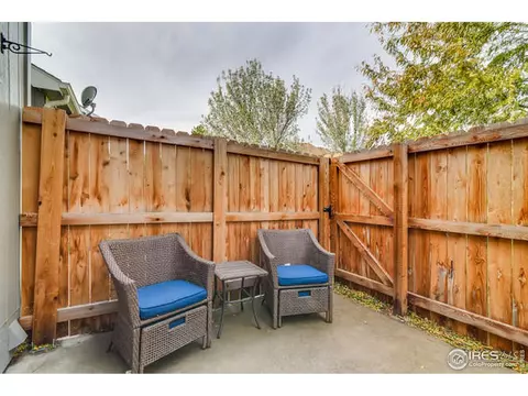100 Crabapple Dr, Windsor, CO 80550 photo 23