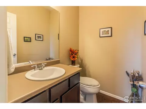 5760 Connor St, Timnath, CO 80547 photo 23