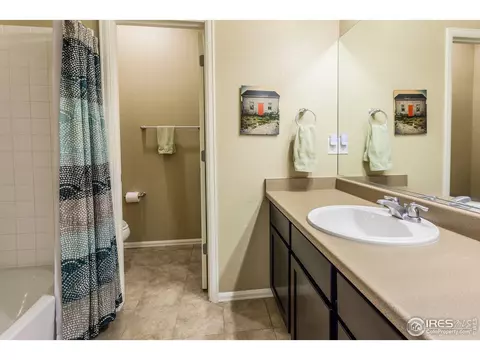 5760 Connor St, Timnath, CO 80547 photo 22