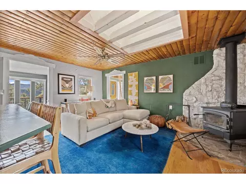 21 Gauthier Rd, Bailey, CO 80421 photo 16