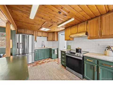 21 Gauthier Rd, Bailey, CO 80421 photo 9